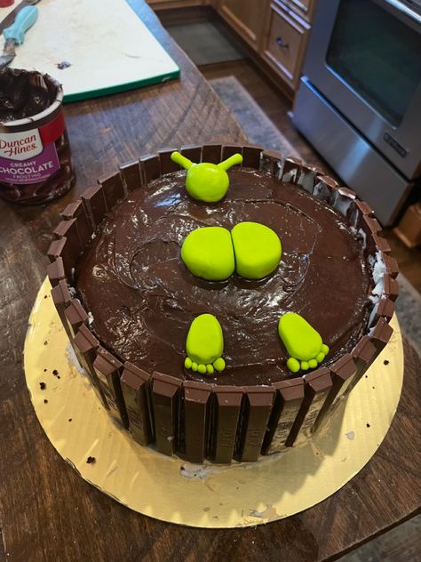 Crazy Birthday Cakes, Goofy Cake, Shrek Cake, Ugly Cakes, Fest Mad, Funny Birthday Cakes, Creative Birthday Cakes, Crazy Cakes, Sweet Snacks Recipes