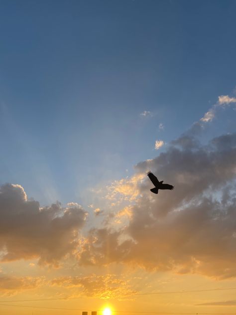 Xin Loi, Emoji Photo, Fields Of Gold, Sky Photography Nature, Sky Full, Sky Pictures, Shadow Pictures, Sky View, Nature View