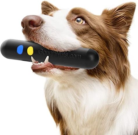 Amazon.com : Goughnuts — Dog Toys for Aggressive Chewers | Virtually Indestructible Dog Toy Stick for Medium Breeds Such as Pit Bulls | Heavy Duty Dog Toy | Black : Pet Supplies Indestructible Dog Toys, Dog Toys For Aggressive Chewers, Dog Toys Indestructable, Tough Dog Toys, Durable Dog Toys, Dog Safety, Dog Teeth, Dog Chew Toys, Pit Bulls