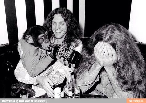 Artimus Pyle and Allen Collins of Lynyrd Skynyrd drinking with a chimp Billy Powell, Steve Gaines, Roll Photography, Allen Collins, Lynyrd Skynyrd Band, Ronnie Van Zant, Morrison Hotel, Merle Haggard, Lynyrd Skynyrd