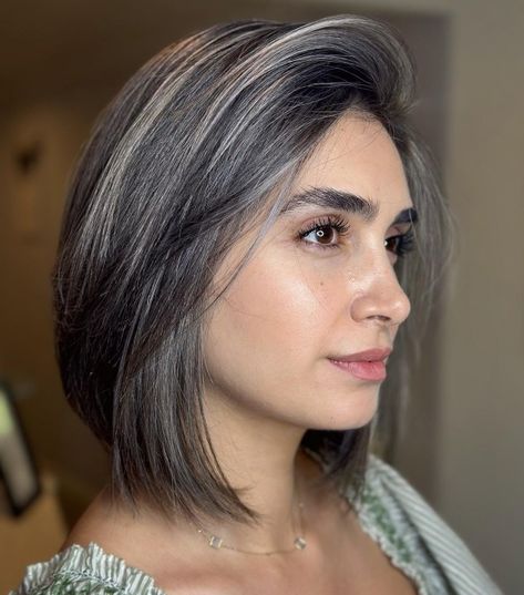 Brunette Hair with Subtle Gray Highlights White Hair Highlights Going Gray, Brown Hair With Silver Highlights, Gray Highlights, Dark Grey Hair, Grey Hair Dye, Grey Hair Transformation, Salt And Pepper Hair, Grey Hair Inspiration, Hair Color Streaks