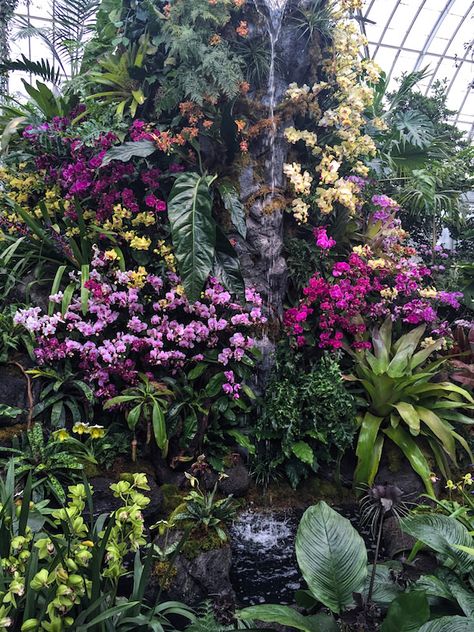 Join me for a look at Orchidelirium, this year's beautiful and fascinating New York Botanical Garden Orchid Show. Landscaping Tropical, Tropical Garden Party, Tropical Garden Design, Atlanta Botanical Garden, New York Botanical Garden, Orchid Show, Desert Botanical Garden, Orchids Garden, Vertical Gardens