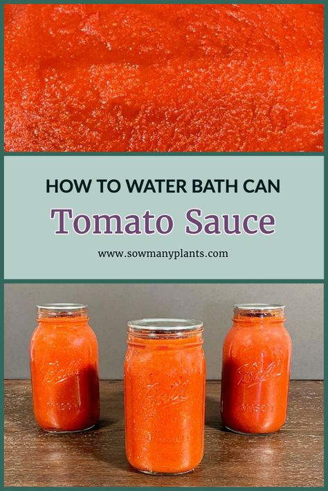 Canning Diced Tomatoes Water Bath, Tomato Sauce Canning, Canning Tomatoes Water Bath, Steam Canning, Canning Tomato Sauce, Basic Tomato Sauce, Can Tomato Sauce, Canning Rack, Easy Canning