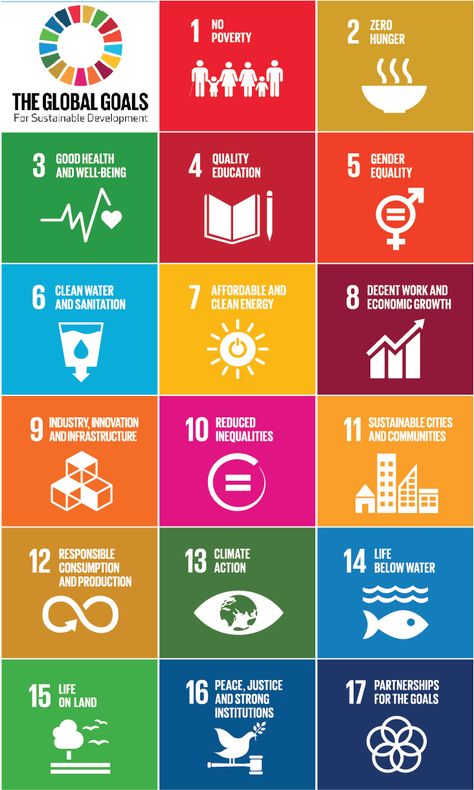 Sustainable Development Design, Sdgs Goals, Sustainable Development Projects, United Nations Organization, Poverty And Hunger, Un Sustainable Development Goals, Ap Spanish, Sustainable City, Social Media Analytics