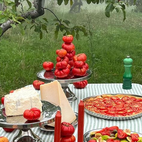 Hannah Kleeberg on Instagram: "Tomatoe Table in the Fog A table set up for an sicilian wedding at @casa.lawa 🌀 We dived into the late summer season and last tomatoes of this year and created a Tomato Tarte, Tomato Arancini, a Tomato Fig Salad & some cheeses go along. And of course some tomato candles. styling & set up: @feylewiza @hooliganhanni & @charlosch tablecloth: @ilovelinen Sending you love 💙 #tablestyling #tablescapes #tablesetting #foodstyling #foodart" Tomato Floral Arrangement, Tomato Dinner Party, Tomato Centerpiece, Tomato Party Theme, Tomato Theme Party, Vegetable Tablescape, Tomato Tablescape, Tomato Wedding, Tomato Decor