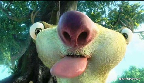 Sid you are funny! Ice Age 4, Continental Drift, Ice Age, Hd Wallpapers, Fashion Blog, Chef, Wallpapers