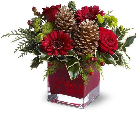 Wild Orchid Des Moines Florist - Des Moines Flower Shops | cozy-christmas Christmas Centrepieces, Christmas Floral Designs, Christmas Centers, Christmas Bouquet, Christmas Flower Arrangements, Christmas Floral Arrangements, Flower Arrangements Simple, Holiday Flower, Holiday Floral