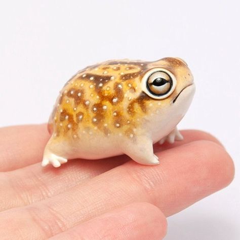 Desert Rain Frog Drawing, Green Clay Ideas, Small Clay Animals Easy, Rain Frog Drawing, Dessert Rain Frog, Frog Clay Art, Frog Clay Sculpture, Common Rain Frog, Cute Clay Frog