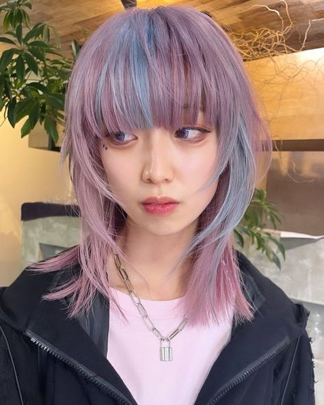 Jelly Fish Haircut Korean, Pink And Purple Aesthetic Outfit, Purple Hair Dye Ideas, Hair Dye Ideas For Short Hair, Jellyfish Hairstyle, 2 Tone Hair Color, Jellyfish Haircut, Blue Purple Hair, Pastel Purple Hair