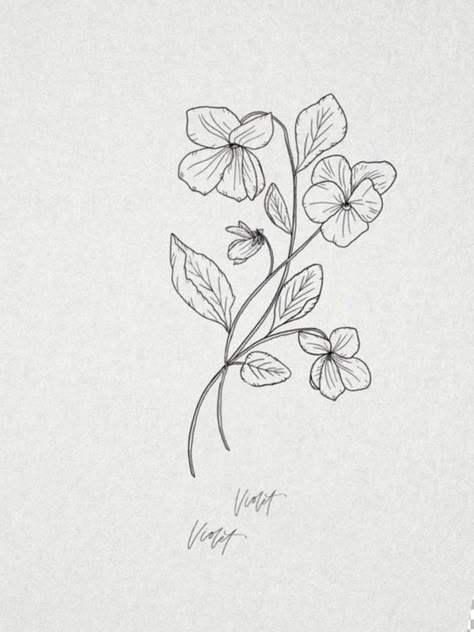 Violet Flower Vine Tattoo, Blue Violet Tattoo Black And White, Violets Tattoo Black And White, Violet Drawing Tattoo, Violet Vine Tattoo, Violet Flower Bouquet Tattoo, Violets Tattoo Flower, Violets Flower Tattoo, Violet Flower Line Drawing