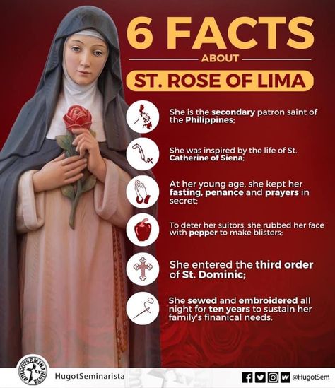 August 23 Memorial of St. Rose of Lima, Virgin. 2nd Patroness of the Philippines. #SaintOfTheDay St. Rose of Lima, pray for us, for all Filipinos & for the Philippines. Received invisible stigmata. Suffered from assorted physical and mental ailments. First saint born in the Americas. Founder of social work in Peru. Great devotion to Saint Catherine of Siena. Saint Rose Of Lima, St Joseph Prayer, Saint Catherine Of Siena, Divine Infant Jesus, Rose Of Lima, Chapel Veil Catholic, St Rose Of Lima, Catherine Of Siena, Holy Girl