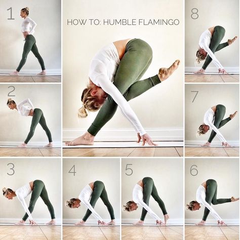 Flamingo Pose, Hata Yoga, Beginner Pilates, Arte Yoga, Yoga Nature, Pilates Video, Latihan Yoga, Yoga Poses Advanced, Pilates Training