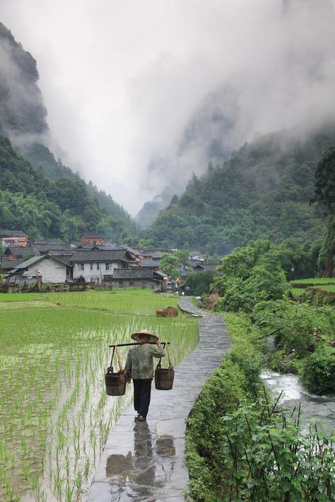 Foto Langka, Rice Field, Rice Fields, Guilin, Halong Bay, Chongqing, China Travel, Bhutan, Alam Yang Indah