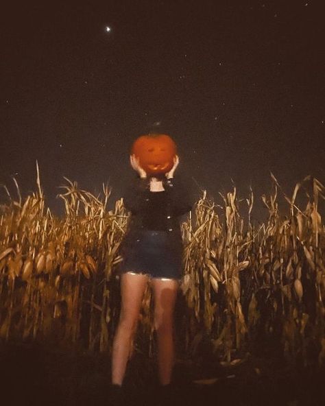 Cami Gourley on Instagram: "All treats, no tricks. 🎃🍂 . . . . . 📸: @reedyjemy . . . . . . . . #halloween #fallfashion #fall #autumn #autumnvibes #autumnleaves #autumnaesthetic #autumnmood #autumnoutfit #autumnvibes🍁 #autumnstyle #pumpkin #pumpkins #pumpkinhead #pumpkinnights #pumpkincarving #trending #trend #explore #photooftheday #photoshoot #midwest #pumpkingirl #cutegirl #fallgirl #autumngirl #halloweengirl #aesthetics #aesthetic #ａｅｓｔｈｅｔｉｃ" Pumpkin Head Pfp Aesthetic, Retro Halloween Photoshoot, Pumpkin Patch Selfies, Fall Aesthetic Picture Ideas, Halloween Fashion Photoshoot, Halloween Photoshoot Aesthetic, Aesthetic Fall Photoshoot, Fall Birthday Photoshoot Ideas, Halloween Girl Aesthetic