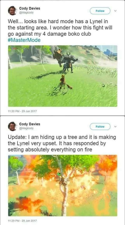 Link And Zelda Love, Legends Of Zelda, Botw Zelda, Legend Of Zelda Memes, Zelda Funny, Video Game Character, Zelda Botw, Video Game Memes, Link Zelda