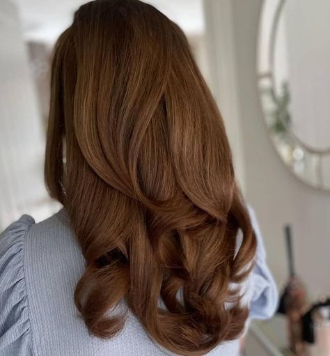 Trending Brown Hair Color 2023, Chestnut Brown Hair Aesthetic, Full Hair Dye Ideas, Medium Chestnut Brown Hair Color, Chesnutt Brown, Nut Brown Hair, Medium Chestnut Brown Hair, Chestnut Curly Hair, Chesnut Hair Color