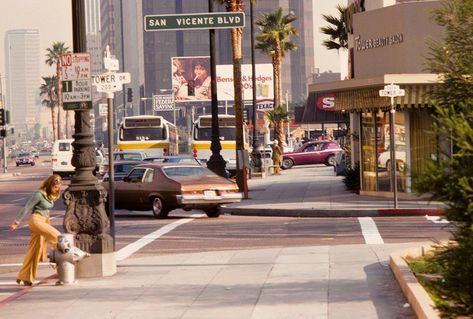 Los Angeles, 1970s | FuckYeahVintage-Retro Los Angeles 1980s, East La Aesthetic, Los Angeles Aesthetic, East Los Angeles, Santa Monica Blvd, Bank Robber, Fotografi Vintage, Green Hills, Vintage Los Angeles