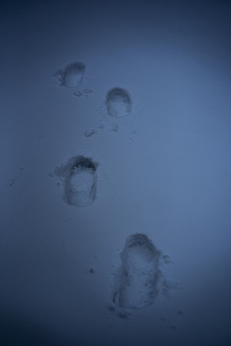 Heavy Snow Aesthetic, Blood Snow Aesthetique, Blood In Snow, Snow Footprints, Snow Crash, Footprints In The Snow, Dark Snow, Frost Moon, Snow Monster