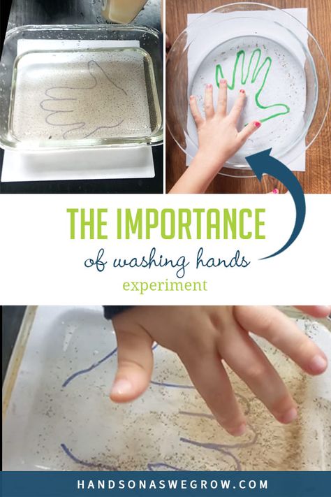 Washing Hands Activities, Personal Hygiene Activities, Hygiene Activities, Preschool First Day, First Grade Lessons, Hand Health, Easy Science Experiments, Washing Hands, Science Activities For Kids