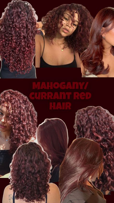 Mahogany / currant red hair Short Curly Hair Updo, Mahogany Hair, Hair Color Mahogany, Cherry Red Hair, Dyed Curly Hair, Highlights Curly Hair, Mixed Curly Hair, Red Hair Inspo, Cherry Hair