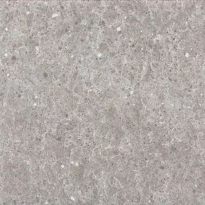 Grey Expo Quartz Countertops, Ocean Jasper Quartz Countertops, Kitchen Countertops Grey, Grey Quartz Countertops, Quartz Countertops Colors, Gray Quartz Countertops, Blue Glass Tile, Coast House, Open Kitchen And Living Room