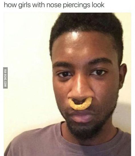 Seriously, when did this become a trend? And who taught it looked good. - 9GAG Nose Piercings, Bad Thoughts, Snapchat Funny, Belly Laughs, Funniest Memes, Relatable Post Funny, Septum Piercing, Nose Piercing, Best Memes