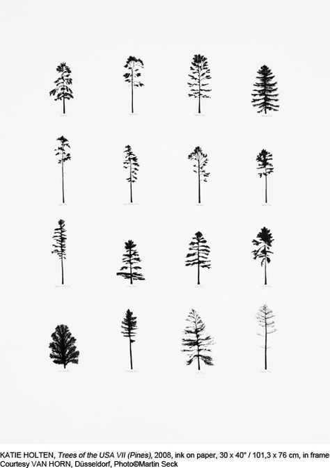 Datum Tattoo, Tattoo Diy, Van Horn, E Tattoo, Tree Drawing, Nature Tattoos, Tree Tattoo, Trendy Tattoos, Skin Art