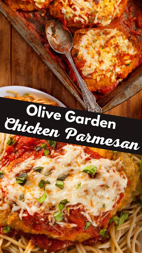 Olive Garden's Chicken Parmesan Olive Garden Chicken Castellina, Olive Garden Chicken Parmesan Recipe Copycat, Copycat Olive Garden Chicken Parmesan, Chicken Parmesan Recipe Olive Garden, Olive Garden Parmesan Chicken, Olive Garden Chicken Parmesan Recipe, Parmasean Chicken Recipe, Olive Garden Chicken Parmigiana, Chicken Parm Recipes