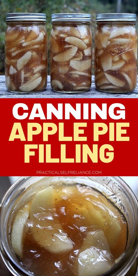 Easy Apple Pie Filling Recipes, Canning Apple Pie Filling, Easy Apple Pie Filling, Apple Pie Filling Recipe, Canning Apples, Apple Pie Filling Recipes, Homemade Apple Pie Filling, Canned Apple Pie Filling, Homemade Apple Pie