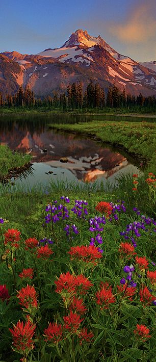 ✯ Mt. Jefferson - Jefferson Park Wilderness, Central Oregon Matka Natura, Flowers Growing, Central Oregon, Pretty Places, Places Around The World, Amazing Nature, Beautiful World, Beautiful Landscapes, Wonders Of The World