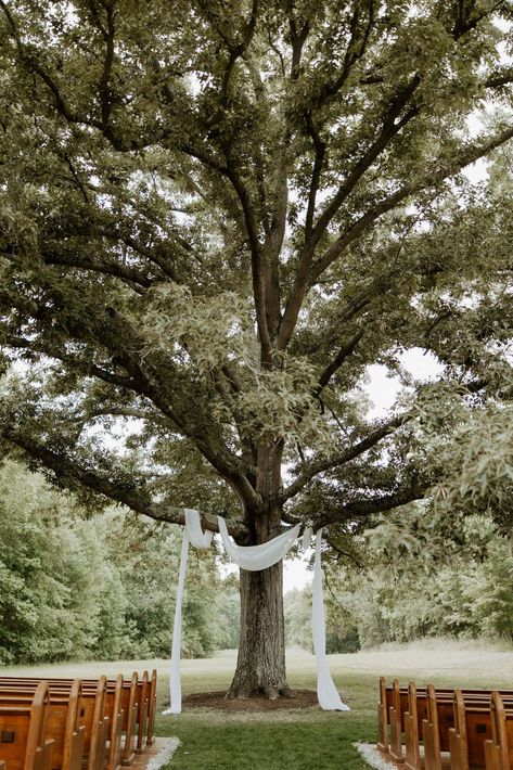 Outdoor Wedding Small Simple, Small Intimate Ceremony, Inexpensive Outdoor Wedding Ideas, Outdoor Ceremony Simple Decor, Country Cottage Wedding Ideas, Outdoor Wedding Minimalist, Outdoor Pasture Wedding Ceremony, Creekside Wedding Ceremony, Wedding Venue Field