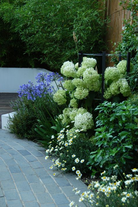 Garden Border Plants, Hydrangea Landscaping, Front Garden Design, Back Garden Design, Hydrangea Garden, Contemporary Garden, Have Inspiration, Outdoor Gardens Design, Garden Landscape Design