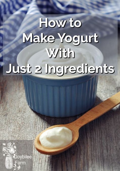 How to make yogurt at home with just 2 ingredients and no special equipment! #homesteading #homesteadingkitchen #yogurtrecipe Homemade Yogurt Recipes, Diy Yogurt, Make Your Own Yogurt, Yoghurt Recipe, Make Greek Yogurt, Farm Diy, Homemade Greek Yogurt, Making Yogurt, Homemade Tzatziki