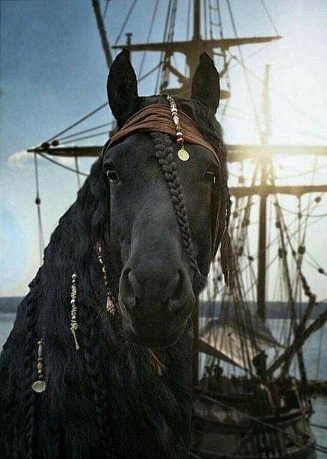 Pirates of the Caribbean: Animal Edition #piratesofthecarribean #pirates #disney #johnnydepp #art #jacksparrow #artist #fun #instagram #captainjacksparrow #pirate #pirateslife #piratesofthecaribbean #davyjones #horses #jacksparrowcosplay #exictment #animals #poneys #horsesofinstagram #horsestagram #instagood Horse Halloween Costumes, Cai Sălbatici, Rasy Koni, Horse Costumes, Most Beautiful Horses, Animale Rare, Friesian Horse, Majestic Horse, Captain Jack Sparrow