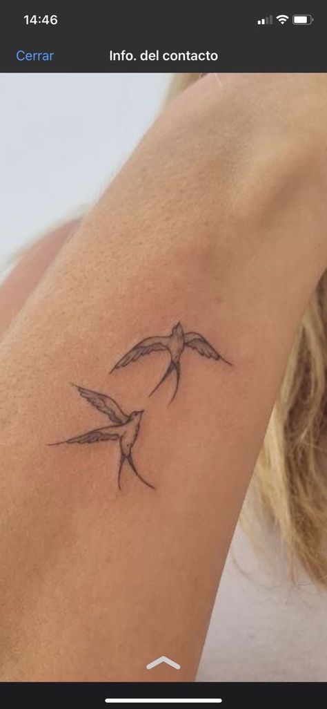 Tattoo Means Freedom, Fine Line Birds Tattoo, 2 Bird Tattoo, Bird Holding Flower Tattoo, Dainty Dove Tattoo, Fine Line Sparrow Tattoo, Hope Is The Thing With Feathers Tattoo, Simple Sparrow Tattoo, Branch Tattoos For Women