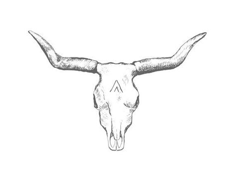 Longhorn Skull Drawing, Toros Tattoo, Bull Skull Tattoo, Longhorn Tattoo, Desert Skull, Bull Skull Tattoos, Cowgirl Tattoos, Longhorn Bull, Tatuagem Masculina Pequena