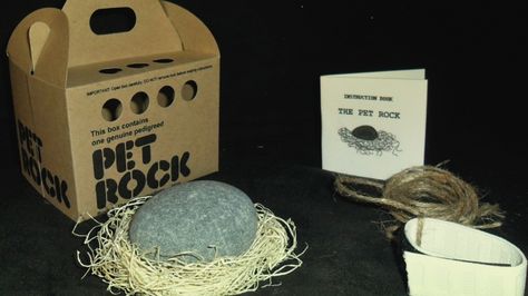 The Many Factors to Consider When Deciding the Best Packaging for Your Food Product White Elephant Christmas, Weird Inventions, Pet Rock, Gag Gifts Christmas, Joke Gifts, Pet Rocks, Santa Gifts, Gift Exchange, White Elephant