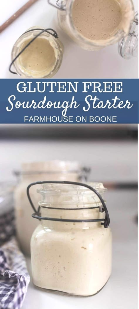 Gluten Free Starter, Aip Sourdough Starter, Grain Free Sourdough Starter, Sourdough Gluten Free Recipes, Gluten Free Sour Dough Starter, Paleo Sourdough Starter, Gluten Free Sour Dough Recipes, Cassava Sourdough Starter, Gluten Free Sourdough Starter Recipe