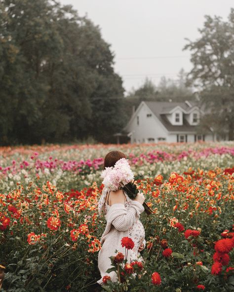 fall aesthetic|maternity photos|flower field|dahlias Dahlia Field Photo Shoot, Maternity Flower Field, Maternity Pictures Flower Field, Maternity Photos In Flower Field, Preg Aesthetic, Maternity Photography Wildflowers, Flower Field Pregnancy Announcement, Pregnancy Photos With Flowers, Flower Maternity Photos