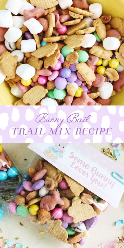 Bunny Bait Trail Mix Recipe! - Live Sweet Easter Trail Mix, Easter Kids Snacks, Bunny Snacks, Chip Dips, Trail Mix Recipe, Desk Kids, Kids Snack Food, Bunny Bait, Snack Mixes