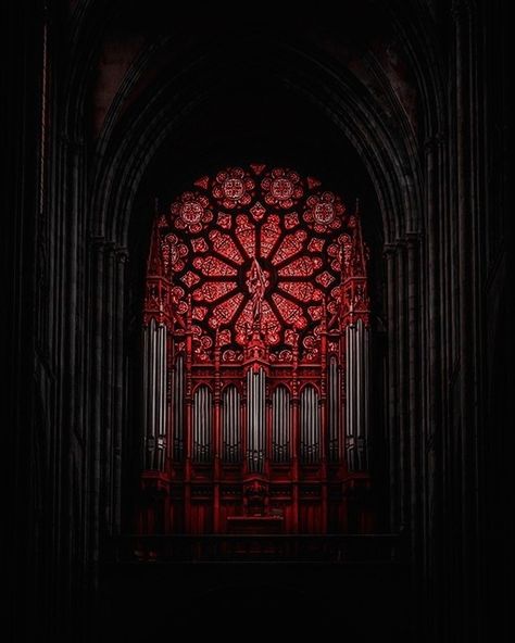 Crimson lights of the "Rosetta" stained glass window. Church Aesthetic, Gothic Windows, Gothic Cathedrals, Notre Dame Cathedral, Ancient Greek Architecture, Gothic Cathedral, Stone Architecture, Clermont Ferrand, Church Architecture