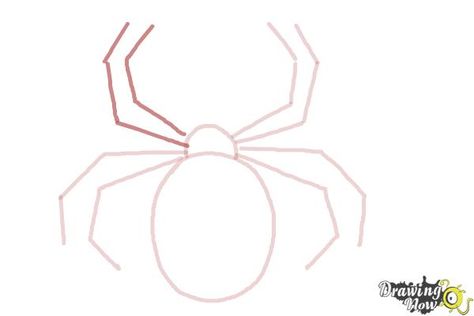 How to Draw a Simple Spider - Step 7 How To Draw A Spider Step By Step, How To Draw A Spider, Simple Spider Drawing, Easy Spider Drawing, Spider Drawing Simple, Draw A Spider, Chibi Spiderman, Spider Drawing, Drawing Steps