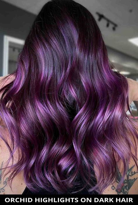 Get this incredible orchid highlights on dark hair as it just might be the perfect fit for you! Plus, you have to see the rest of these 35 trendy purple hair colors. Photo Credit: @hailtothehair on Instagram Dark Black Hair With Purple Highlights, Dark Hair With Purple Extensions, Purple Hilights On Brown Hair, Dimensional Purple Hair, Violet Highlights On Dark Hair, Lavender Highlights Dark Hair, Purple Hair Highlights Brown, Purple Hair Color Ideas For Brunettes, Purple Balayage Brunette