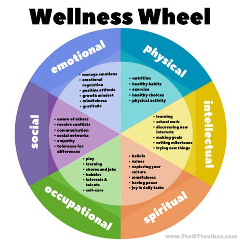 Wellness Wheel for Families - The OT Toolbox Wellness Wheel Bulletin Board, Occupational Wellness Activities, Wellness Wheel Worksheet, Environmental Wellness, Health Classroom, Self Care Wheel, Wellness Wheel, Paleo Kids, School Wellness