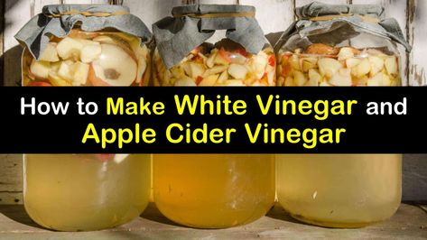 Make White Vinegar, Diy Vinegar, How To Make Vinegar, Making Apple Cider, Apple Cider Vinegar Recipes, Make Apple Cider Vinegar, Braggs Apple Cider, Best Apple Cider Vinegar, Braggs Apple Cider Vinegar