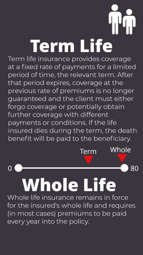 Life Insurance: Term Vs. Whole Life Insurance | Life insurance marketing ideas, Life insurance facts, Life insurance marketing Term Life Vs Whole Life, Life Insurance Agent Tips, Insurance Agent Humor, Insurance Agent Marketing, Life Insurance Humor, Insurance Marketing Ideas, Life Insurance Sales, Life Insurance Marketing Ideas, Infinite Banking