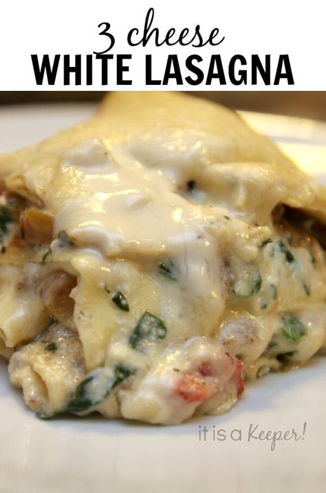 White Lasagna Recipe, Casserole Lasagna, White Sauce Lasagna, Comfort Food Casserole, Recipe With Ricotta, Lasagna Recipe Easy, Chicken Lasagna Recipe, Lasagna Recipe With Ricotta, White Lasagna