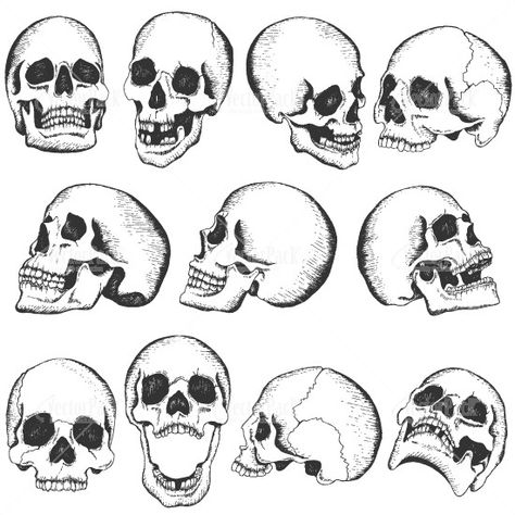 Two Skulls Drawing, Skeleton Head Side View, Skull With Jaw Open, Front Facing Skull Tattoo, Skull Looking Up Reference, Head Bone Drawing, Skull With No Jaw, Skull 3/4 View, Skull Front View Drawing