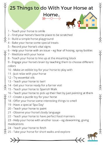 Fun Stuff To Do With Your Horse, Horse Tricks Ideas, Fun Things To Do With Horses, Things To Do With Horses, Tricks To Teach Your Horse, Fun Things To Do With Your Horse, Horse Tips And Tricks, Things To Do With Your Horse, Equine Enrichment