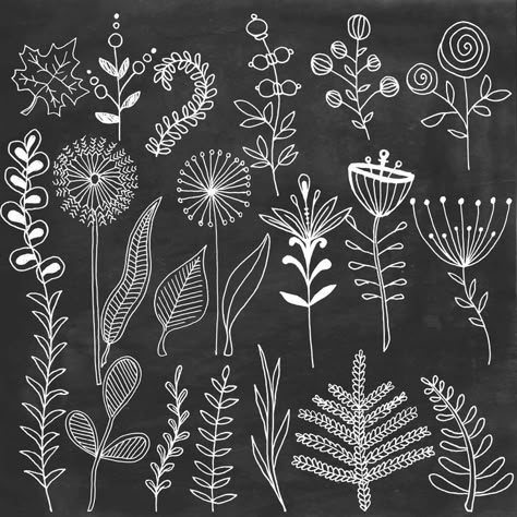 Chalk floral clipart Chalkboard flowers leafs hand painted clip art digital Chalk doodle elements Botanical clipart overlay White clip art,  #Art #botanical #Chalk #chalkboard #clip #Clipart #Digital #Doodle #elements #FabricPaintingonpaper #floral #flowers #Hand #leafs #overlay #Painted #White Check more at http://painting10.tvizlet.me/chalk-floral-clipart-chalkboard-flowers-leafs-hand-painted-clip-art-digital-chalk-doodle-elements-botanical-clipart-overlay-white-clip-art/ Chalkboard Flowers, Doodle Elements, Chalkboard Doodles, Chalk Wall, طابع بريدي, Chalkboard Lettering, Chalk Lettering, Chalkboard Designs, Chalkboard Wall